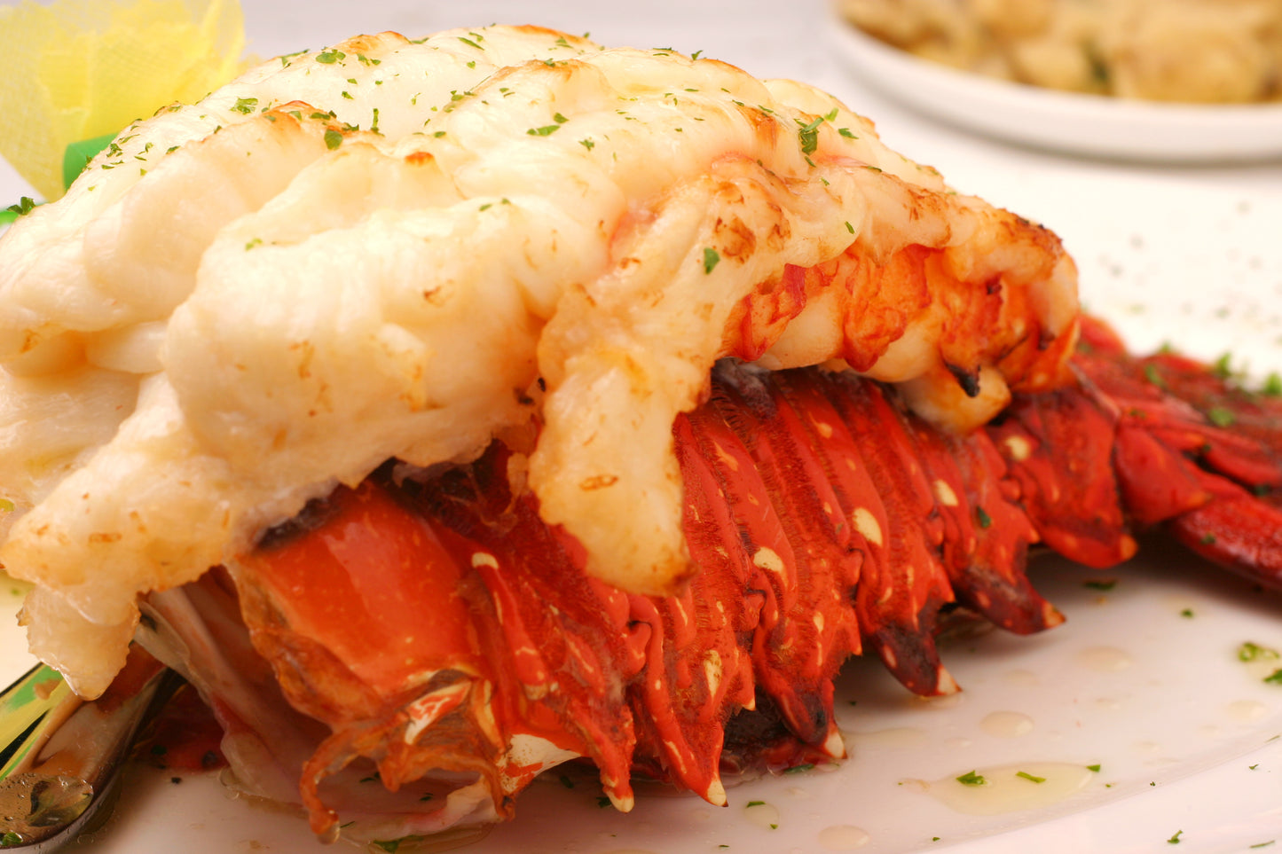 Lobster Tails (7 oz. Warm Water)