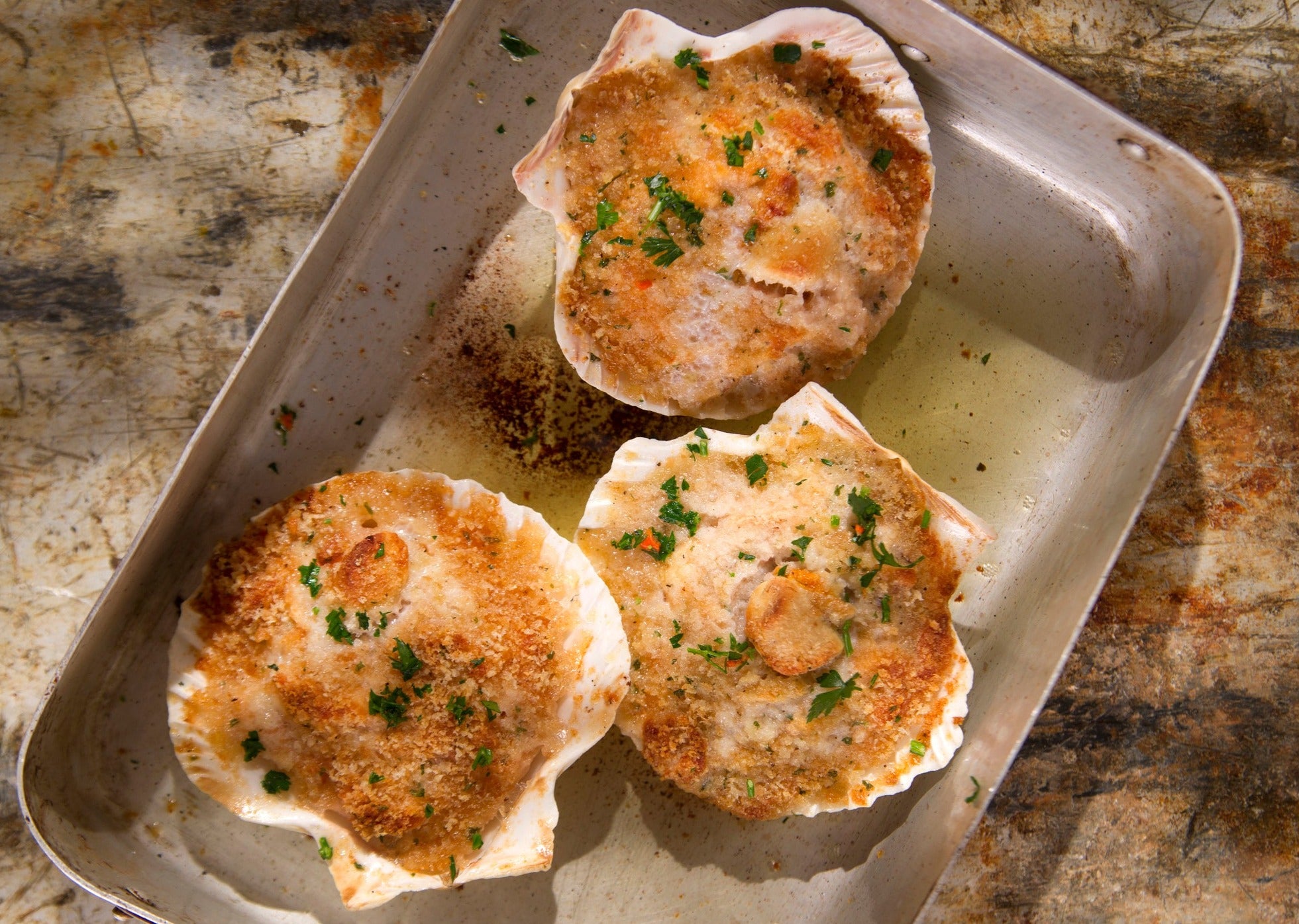 Open Scallop Shell Half